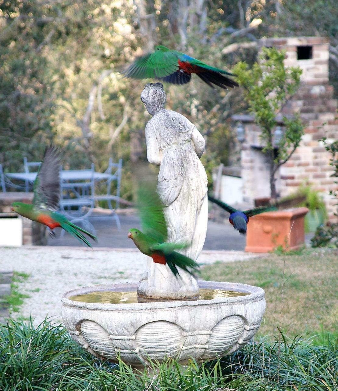 The Willows At Kurrajong Bagian luar foto